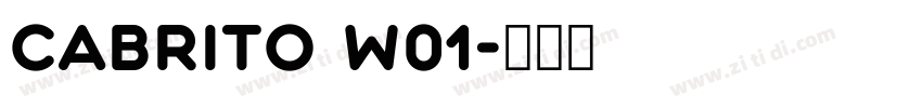 Cabrito W01字体转换